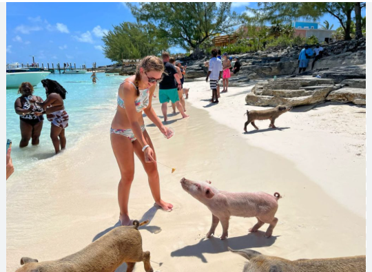 Swimming Pigs Bahamas Experience